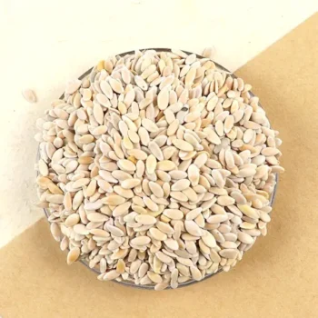 Muskmelon Seeds (खरबूजे के बीज)