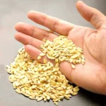 Muskmelon Seeds (खरबूजे के बीज)