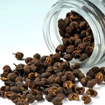 Nepali Dhaniya Seeds (नेपाली धनिया बीज)