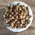 Nirmali Supari Seeds (निर्माली सुपारी के बीज)