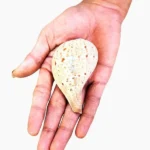 Pavitra Conch, Pavitra Shankh, Pavitra Puja Shankh