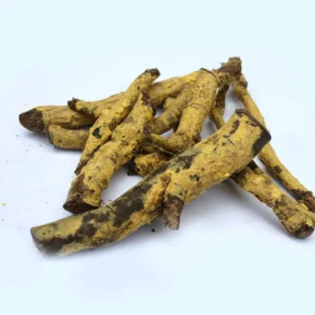 Saptarangi Root (सप्तारंगी जड़)