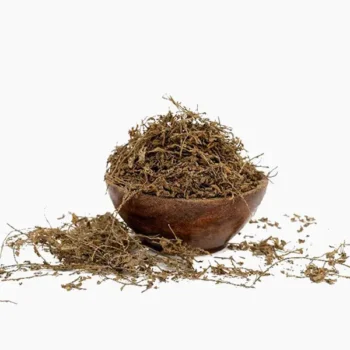 Shankhapushpi (शंखपुष्पी)