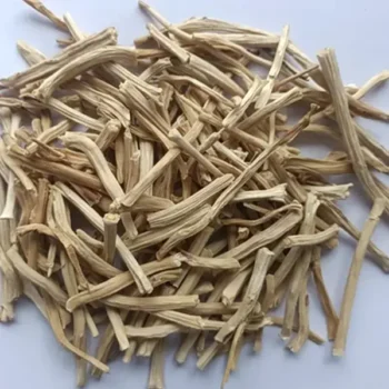 Shatavari Root White (शतावरी जड़ सफ़ेद)