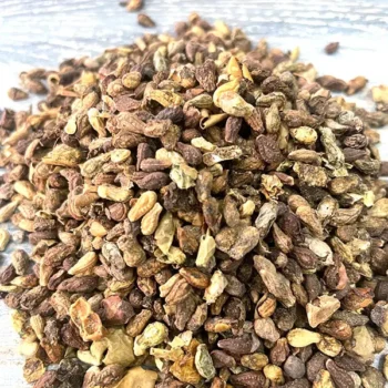 Shivlingi Seeds (शिवलिंगी बीज)