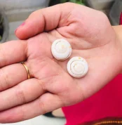 Siddh Akshay Patra Conch (अक्षय पात्र शंख)