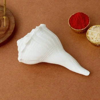 Small Dakshinavarti Shankh (दक्षिणावर्ती शंख)