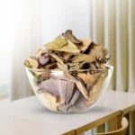 Sukhe Kamal Phool (सूखे कमल फूल)