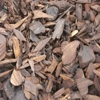 Agarwood Oud (अगर वुड ओउध)