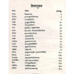 Neel Saraswati Tantram Book (नील सरस्वती तन्त्रम् पुस्तक)