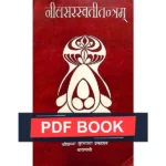 Neel Saraswati Tantram Book (नील सरस्वती तन्त्रम् पुस्तक)