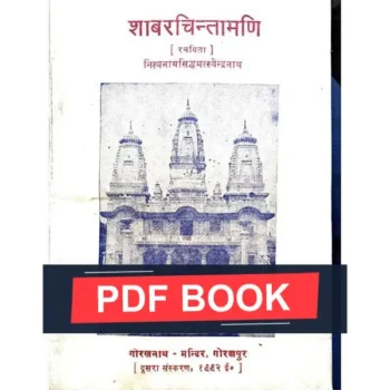 Shabar Chintamani Book (शाबर चिन्तामणि पुस्तक)