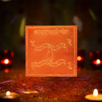 Naraynakshi Yantra, Naraynakshi Puja Yantra, Shri Narayankshi Sadhana Yantra
