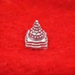 Mercury Shree Yantra (पारद श्री यन्त्र)