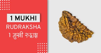 mukhi-rudraksha-astro-mantra, रुद्राक्ष के उपाय