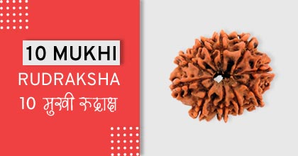 10-mukhi-rudraksha-astro-mantra, रुद्राक्ष के उपाय