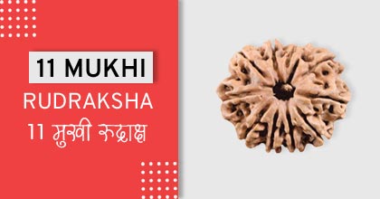 11-mukhi-rudraksha-astro-mantra, रुद्राक्ष के उपाय