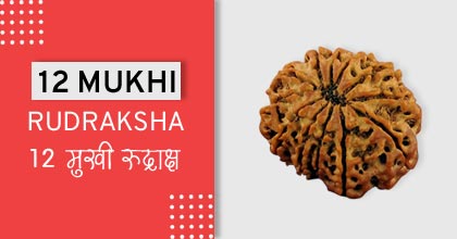 12-mukhi-rudraksha-astro-mantra, रुद्राक्ष के उपाय