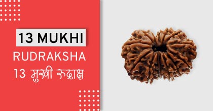 13-mukhi-rudraksha-astro-mantra, रुद्राक्ष के उपाय