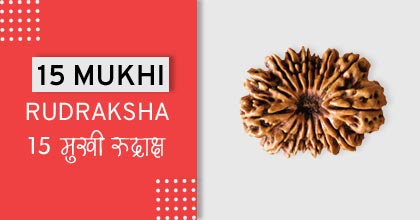 15-mukhi-rudraksha-astro-mantra, रुद्राक्ष के उपाय