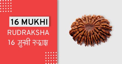 16-mukhi-rudraksha-astro-mantra, रुद्राक्ष के उपाय