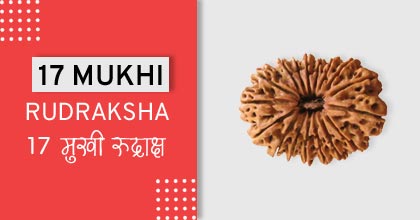 17-mukhi-rudraksha-astro-mantra, रुद्राक्ष के उपाय