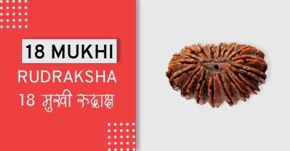 18-mukhi-rudraksha-astro-mantra, रुद्राक्ष के उपाय