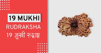 19-mukhi-rudraksha-astro-mantra, रुद्राक्ष के उपाय