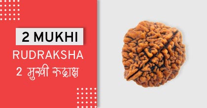  2-mukhi-rudraksha-astro-mantra, रुद्राक्ष के उपाय