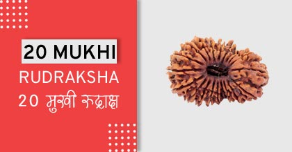 20-mukhi-rudraksha-astro-mantra, रुद्राक्ष के उपाय
