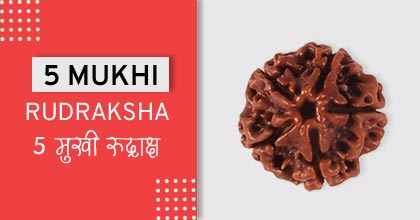 5-mukhi-rudraksha-astro-mantra, रुद्राक्ष के उपाय
