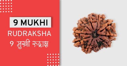 9-mukhi-rudraksha-astro-mantra