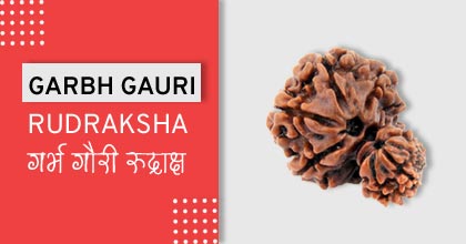 Garbh-Gauri-Rudraksha, रुद्राक्ष के उपाय