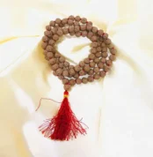 10 Mukhi Rudraksha Mala (दस मुखी रुद्राक्ष माला)