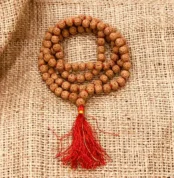10 Mukhi Rudraksha Mala (दस मुखी रुद्राक्ष माला)