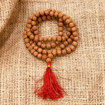 10 Mukhi Rudraksha Mala (दस मुखी रुद्राक्ष माला)