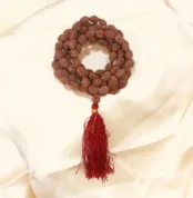3 Mukhi Rudraksha Mala (तीन मुखी रुद्राक्ष माला)