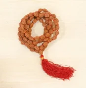 3 Mukhi Rudraksha Mala (तीन मुखी रुद्राक्ष माला)