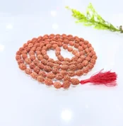 4 Mukhi Rudraksha Mala (चार मुखी रुद्राक्ष माला)