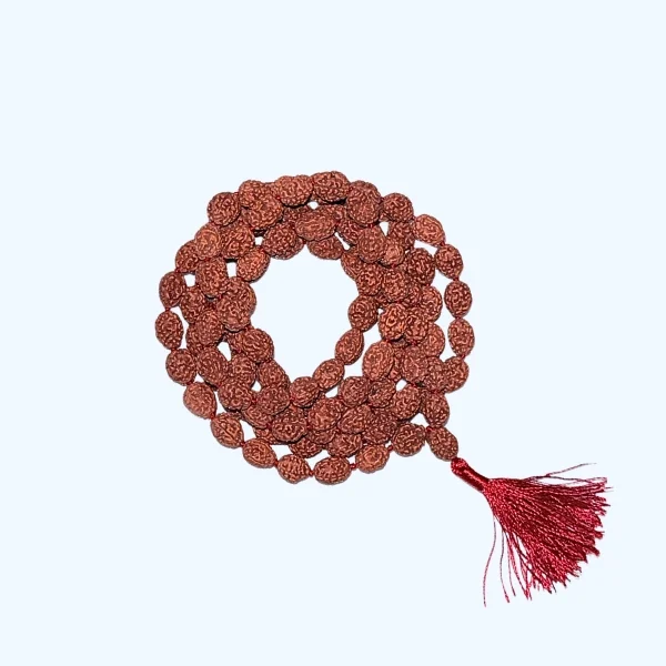 4 Mukhi Rudraksha Mala (चार मुखी रुद्राक्ष माला)