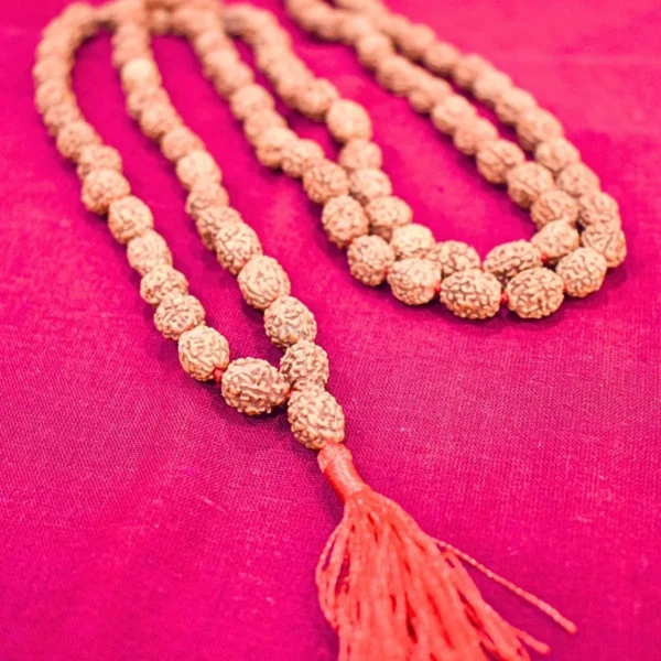 4 Mukhi Rudraksha Mala (चार मुखी रुद्राक्ष माला)
