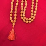 4 Mukhi Rudraksha Mala (चार मुखी रुद्राक्ष माला)