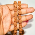 4 Mukhi Rudraksha Mala (चार मुखी रुद्राक्ष माला)