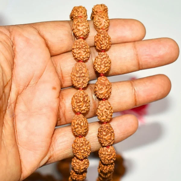 4 Mukhi Rudraksha Mala (चार मुखी रुद्राक्ष माला)