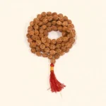 5 Face Rudraksha Mala (पांच मुखी रुद्राक्ष माला)