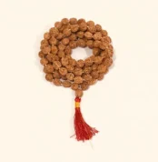 5 Face Rudraksha Mala (पांच मुखी रुद्राक्ष माला)
