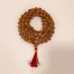 5 Face Rudraksha Mala (पांच मुखी रुद्राक्ष माला)