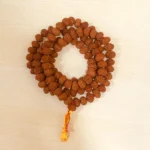 6 Mukhi Rudraksha Mala (छः मुखी रुद्राक्ष माला)