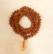 6 Mukhi Rudraksha Mala (छः मुखी रुद्राक्ष माला)
