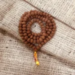 6 Mukhi Rudraksha Mala (छः मुखी रुद्राक्ष माला)